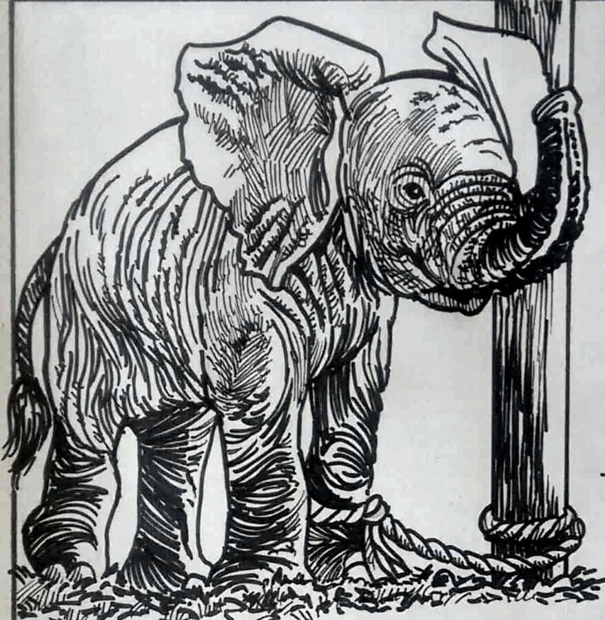 Elephant